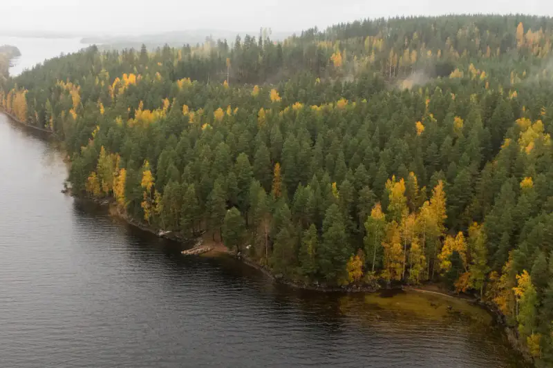 Hirsimökki ~66 m² (2000) + rantasauna 25 m², 1,115 ha et rive dure sur le Keitele — Liimattala / Äänekoski — 3