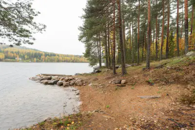 Hirsimökki ~66 m² (2000) + rantasauna 25 m², 1,115 ha et rive dure sur le Keitele — Liimattala / Äänekoski — 1