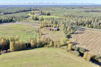 Maison ~114 m² (1970) + sauna + rantasauna, 9 073 m² et ~68 m de rive sur la Kätkänjoki — Kätkänjoki / Alavus — 1
