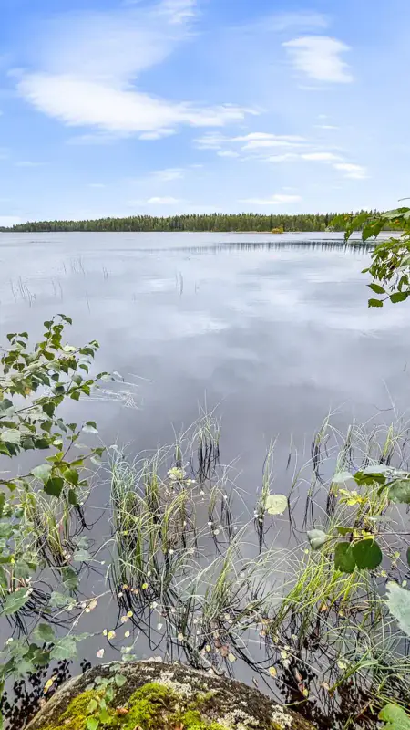 Terrain de loisir Kuotesjärvi — Alavus, 1,76 ha, ~100 m rive sable, droits 130 m² — 17