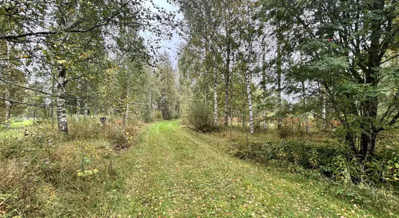 Terrain de loisir Kuotesjärvi — Alavus, 1,76 ha, ~100 m rive sable, droits 130 m² — 15