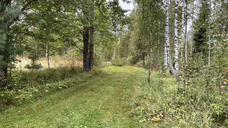 Terrain de loisir Kuotesjärvi — Alavus, 1,76 ha, ~100 m rive sable, droits 130 m² — 14
