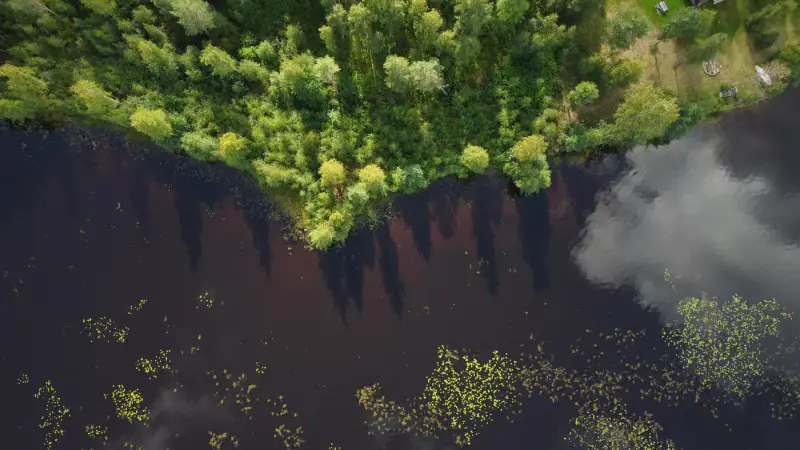Terrain de loisir Kuotesjärvi — Alavus, 1,76 ha, ~100 m rive sable, droits 130 m² — 7