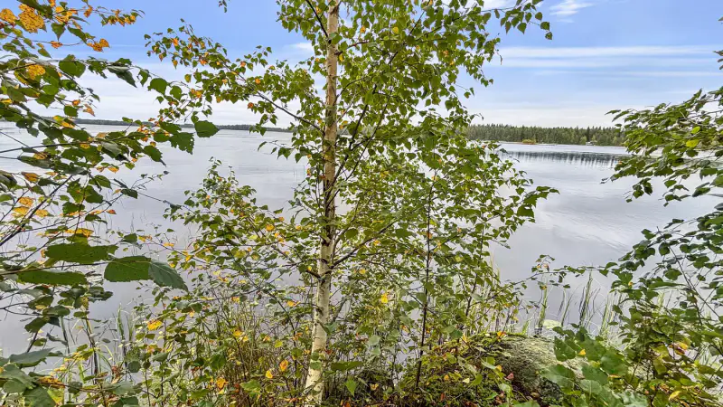 Terrain de loisir Kuotesjärvi — Alavus, 1,76 ha, ~100 m rive sable, droits 130 m² — 3