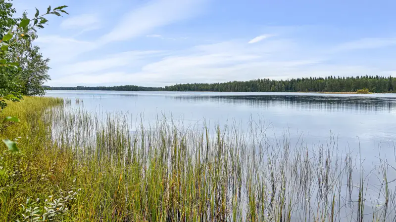 Terrain de loisir Kuotesjärvi — Alavus, 1,76 ha, ~100 m rive sable, droits 130 m² — 2