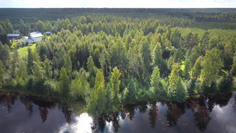 Terrain de loisir Kuotesjärvi — Alavus, 1,76 ha, ~100 m rive sable, droits 130 m² — 6
