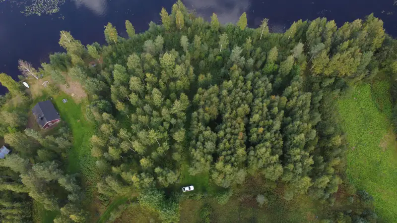 Terrain de loisir Kuotesjärvi — Alavus, 1,76 ha, ~100 m rive sable, droits 130 m² — 8