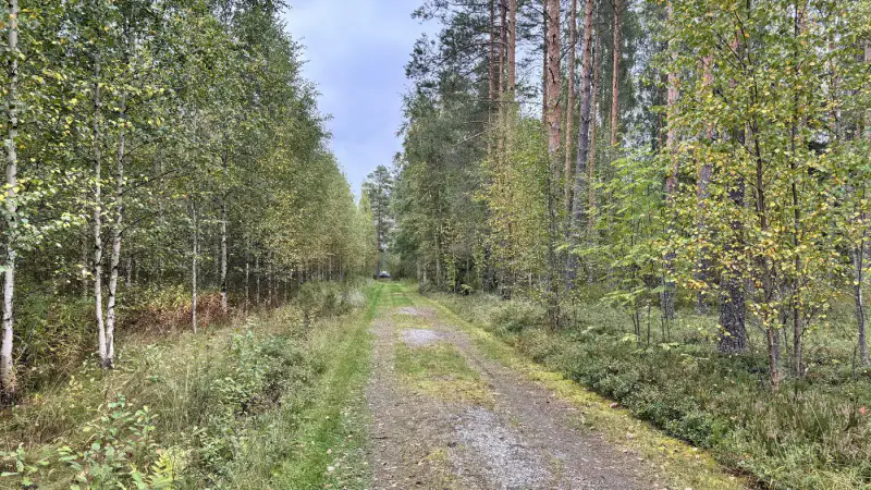 Terrain de loisir Kuotesjärvi — Alavus, 1,76 ha, ~100 m rive sable, droits 130 m² — 13