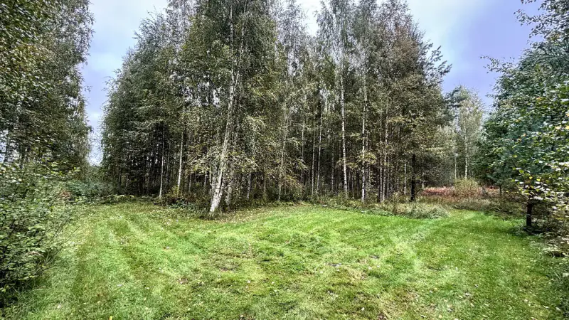 Terrain de loisir Kuotesjärvi — Alavus, 1,76 ha, ~100 m rive sable, droits 130 m² — 4