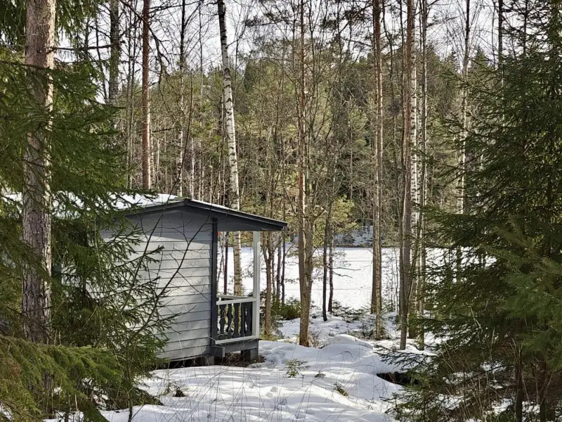 Määräala ~5 000 m² + saunamökki, 40 m rive Ruotsalainen — Asikkala — 7