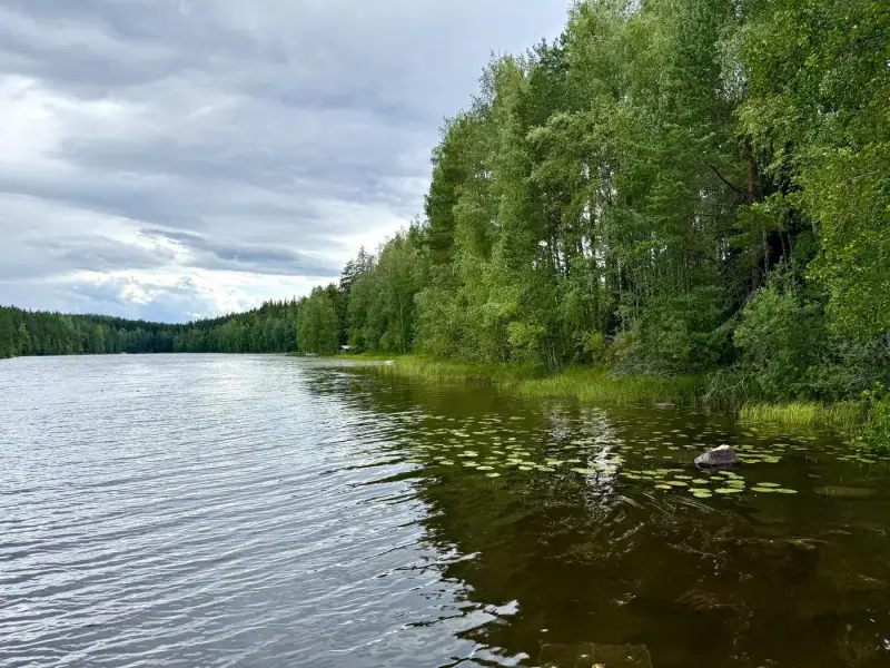 Määräala ~5 000 m² + saunamökki, 40 m rive Ruotsalainen — Asikkala — 1
