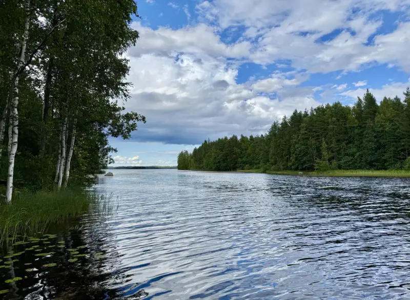 Määräala ~5 000 m² + saunamökki, 40 m rive Ruotsalainen — Asikkala — 4