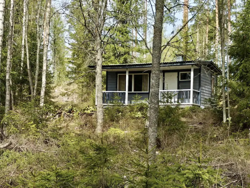 Määräala ~5 000 m² + saunamökki, 40 m rive Ruotsalainen — Asikkala — 6