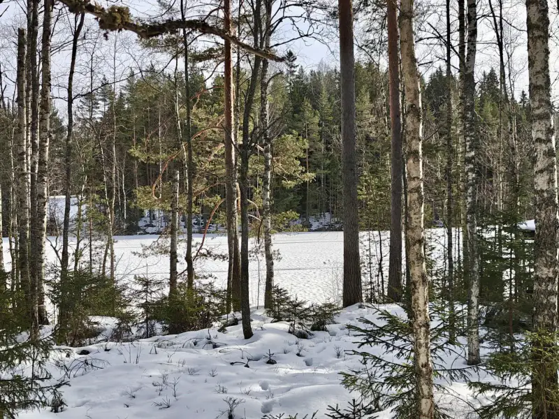 Määräala ~5 000 m² + saunamökki, 40 m rive Ruotsalainen — Asikkala — 8