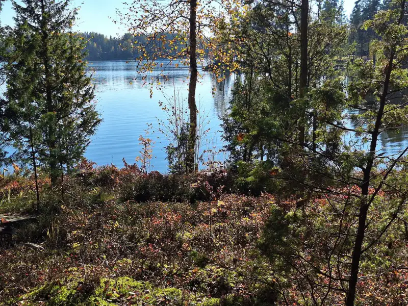 Terrain de vacances 3 780 m² avec plage de sable au sud et ~88 m de rive privée sur le Ruotsalainen, petit sauna — Kalkkinen, Asikkala — 11