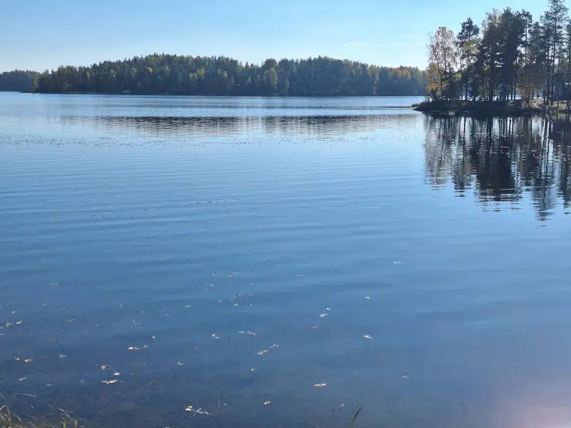 Terrain de vacances 3 780 m² avec plage de sable au sud et ~88 m de rive privée sur le Ruotsalainen, petit sauna — Kalkkinen, Asikkala — 6