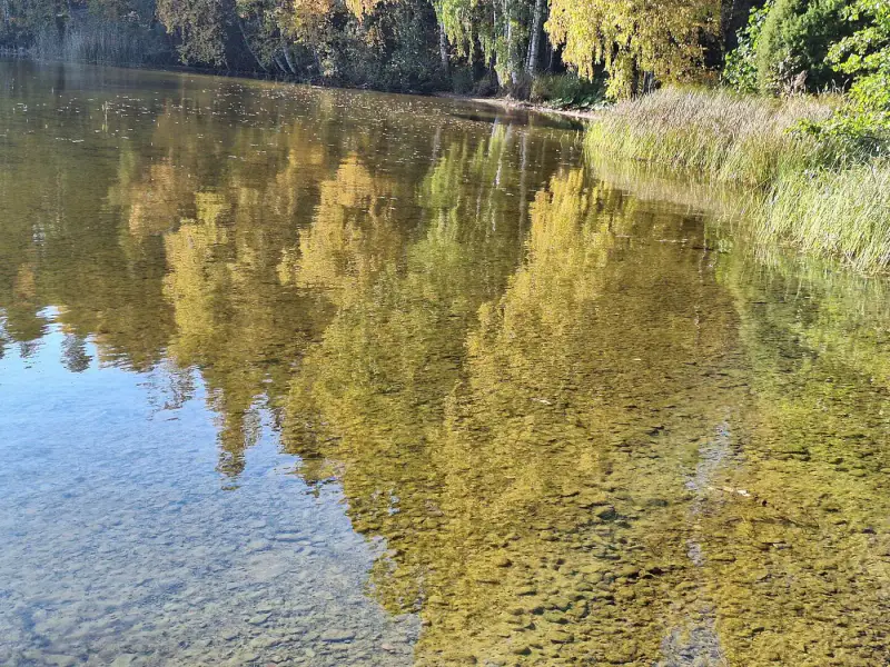 Terrain de vacances 3 780 m² avec plage de sable au sud et ~88 m de rive privée sur le Ruotsalainen, petit sauna — Kalkkinen, Asikkala — 12