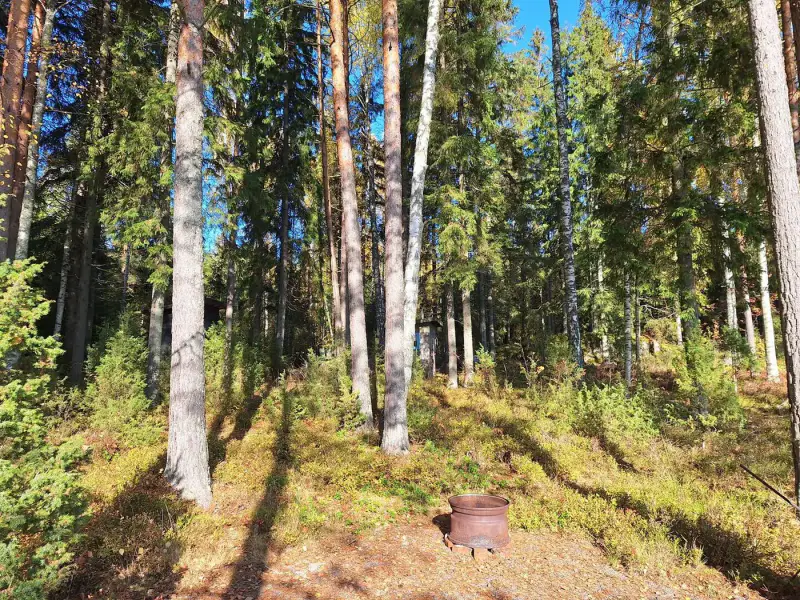Terrain de vacances 3 780 m² avec plage de sable au sud et ~88 m de rive privée sur le Ruotsalainen, petit sauna — Kalkkinen, Asikkala — 15