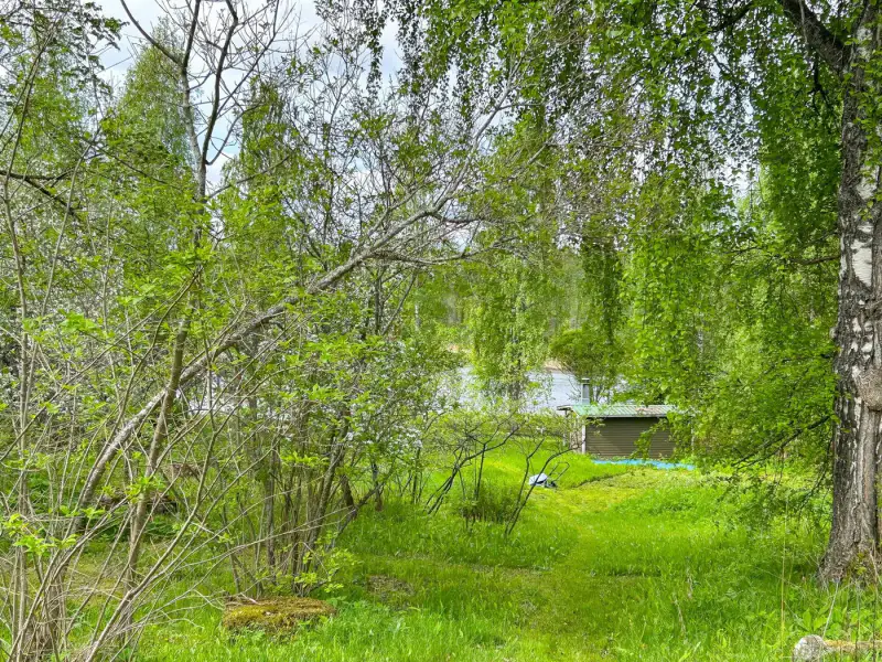 Maison 1940 (80 m², 4 pièces) avec rive privée exposée sud sur l’Enonvesi, sauna en annexe — Enonkoski — 4