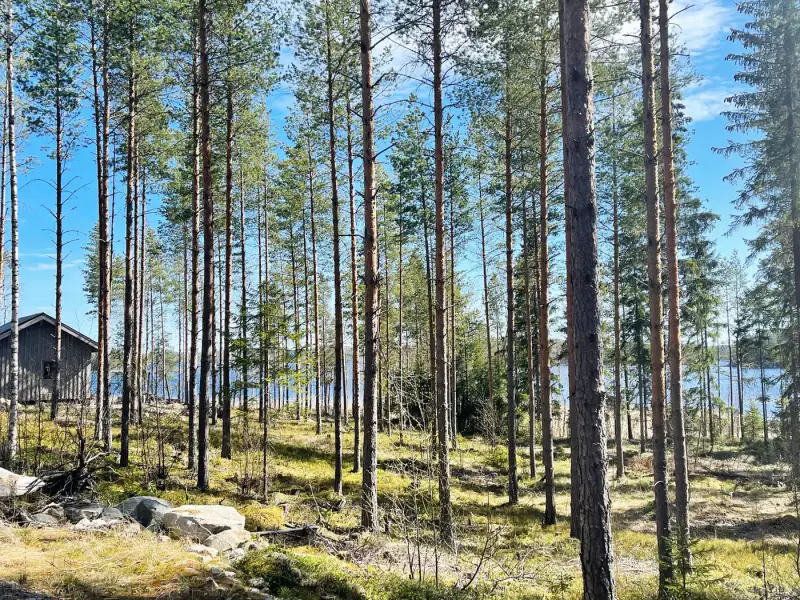 Deux emplacements RA au bord du Saimaa (Enonkoski) — 16