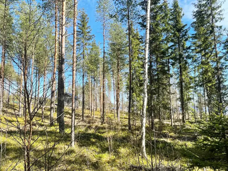 Deux emplacements RA au bord du Saimaa (Enonkoski) — 18
