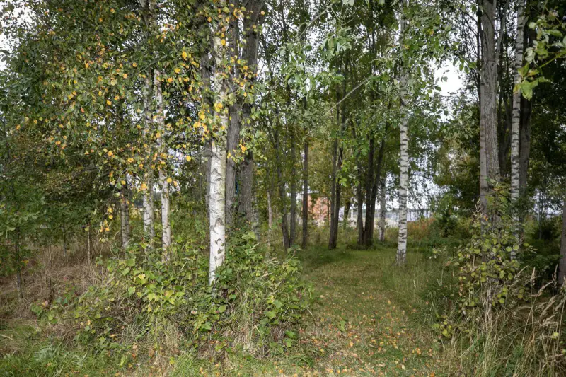 Maison bois ~240–300 m² (1975) + atelier ~100 m², 6 500 m², Eurajoki — Kiukainen / Eura — 7