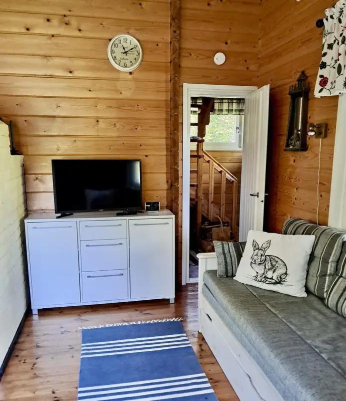Chalet mer 1976, 31 m², rive privée, 2 250 m² — Isomaan saari, Luvia (Eurajoki) — 9