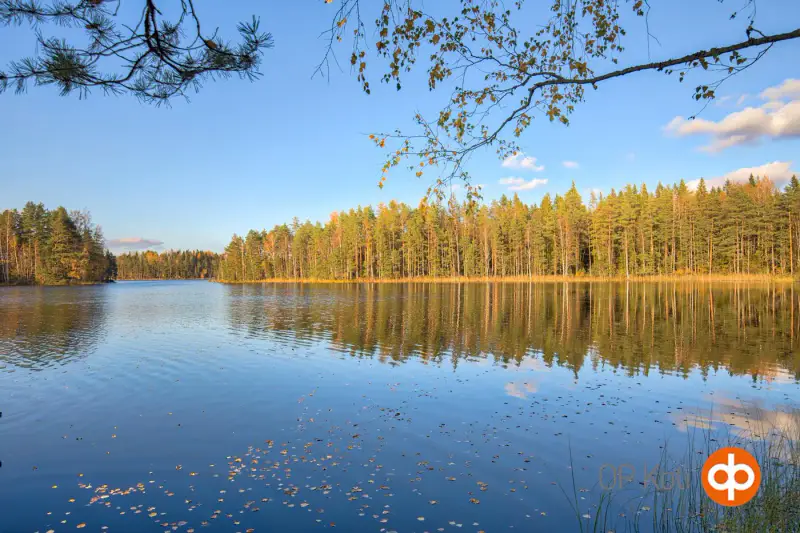 Chalet de 1973 (36 m²) + sauna de rive avec salle et cheminée, 41 m de rive privée et 2 040 m² sur le Kiimalammi — Koijärvi / Forssa — 3