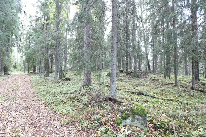 Terrain constructible ~4 000 m² (~40 m rive), Iso-Munakas — Katiskoski / Hämeenlinna — 10