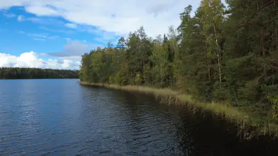 Terrain constructible ~4 000 m² (~40 m rive), Iso-Munakas — Katiskoski / Hämeenlinna — 1