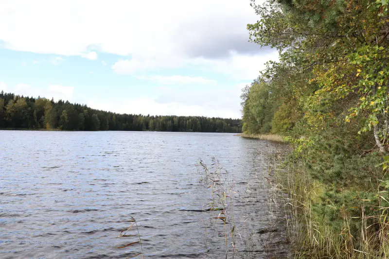 Terrain constructible ~4 000 m² (~40 m rive), Iso-Munakas — Katiskoski / Hämeenlinna — 7
