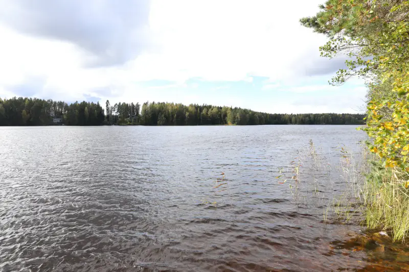 Terrain constructible ~4 000 m² (~40 m rive), Iso-Munakas — Katiskoski / Hämeenlinna — 4