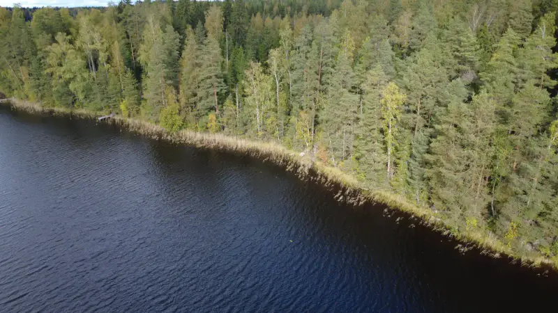 Terrain constructible ~4 000 m² (~40 m rive), Iso-Munakas — Katiskoski / Hämeenlinna — 3