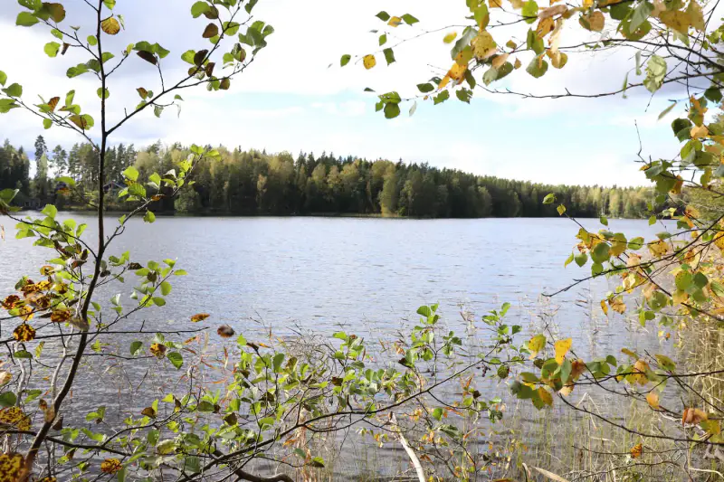 Terrain constructible ~4 000 m² (~40 m rive), Iso-Munakas — Katiskoski / Hämeenlinna — 9
