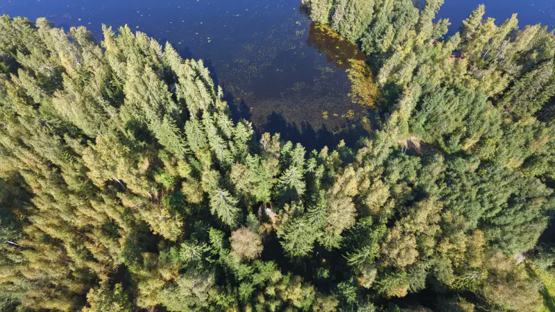 Terrain rive Tömäjärvi ~3 550 m² (~50 m), parts eaux + venevalkama — près Hämeenlinna — 7