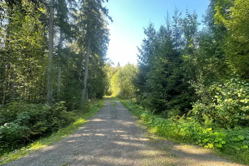 Terrain rive Tömäjärvi ~3 550 m² (~50 m), parts eaux + venevalkama — près Hämeenlinna — 10