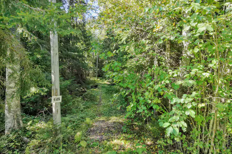 Terrain rive Tömäjärvi ~3 550 m² (~50 m), parts eaux + venevalkama — près Hämeenlinna — 13