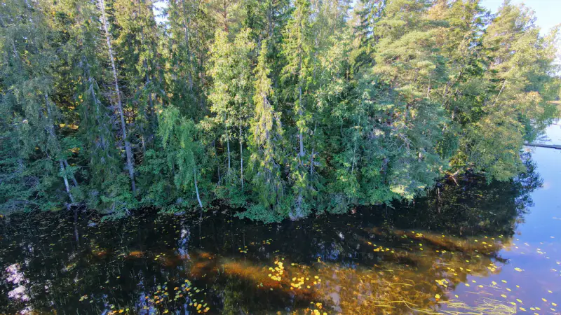 Terrain rive Tömäjärvi ~3 550 m² (~50 m), parts eaux + venevalkama — près Hämeenlinna — 6
