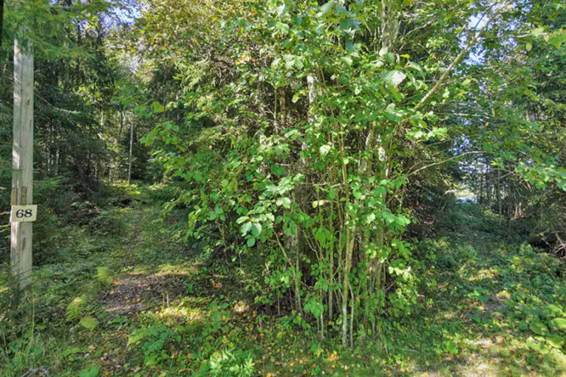Terrain rive Tömäjärvi ~3 550 m² (~50 m), parts eaux + venevalkama — près Hämeenlinna — 14