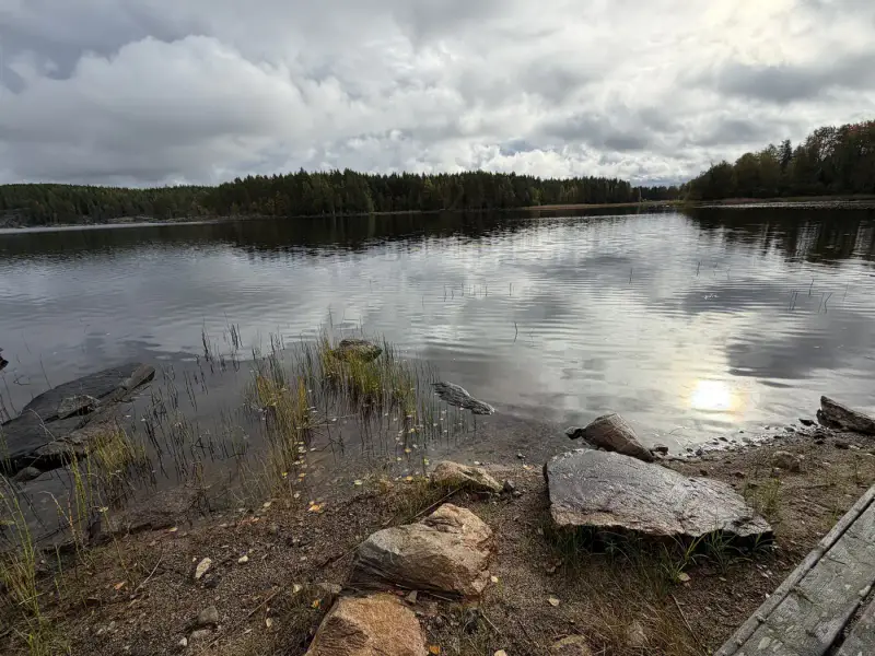 Mökki rondins ~31 m² (1993) + sauna séparée, 1,26 ha péninsule, Saimaa / Pieni Kolovesi — Pyylinsaari / Heinävesi — 18