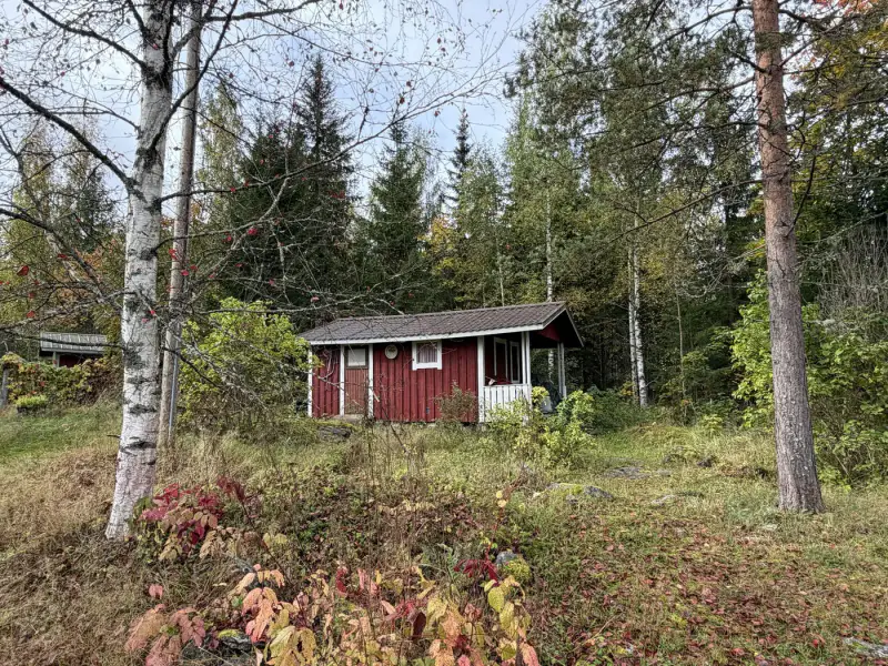 Mökki rondins ~31 m² (1993) + sauna séparée, 1,26 ha péninsule, Saimaa / Pieni Kolovesi — Pyylinsaari / Heinävesi — 14