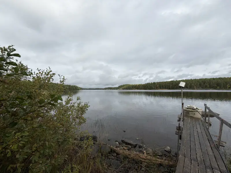 Mökki rondins ~31 m² (1993) + sauna séparée, 1,26 ha péninsule, Saimaa / Pieni Kolovesi — Pyylinsaari / Heinävesi — 16