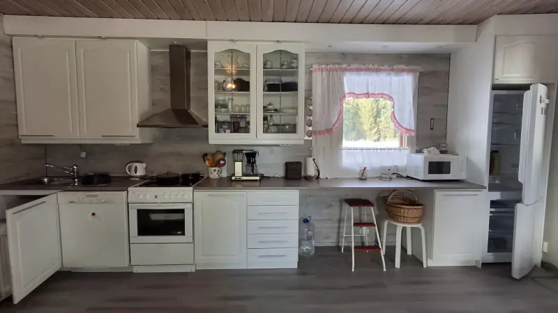 Mökki ~60 m² (1995) + rantasauna, aitta, grillitupa, 8 790 m², Puula — Tuukkala / Hirvensalmi — 6