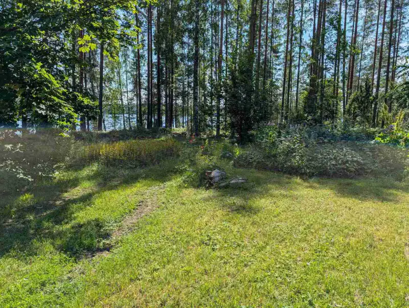 Ensemble 3 parcelles ~45 m² (1976) + rantasauna, 7 030 m², Puulavesi — Tentunniemi / Hirvensalmi — 17