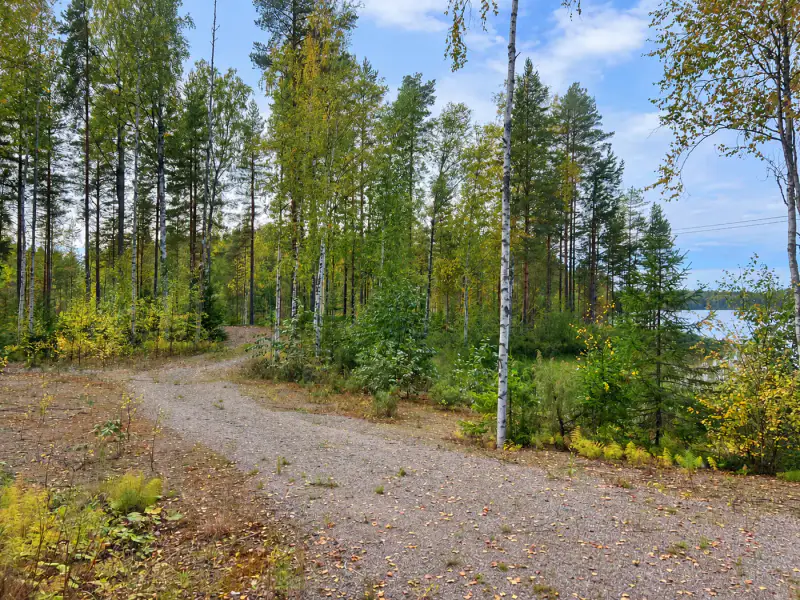 Terrain constructible ~1,9 ha, ~200 m rive ouest Puula, 350 k-m² — Suurenniemi / Hirvensalmi — 10