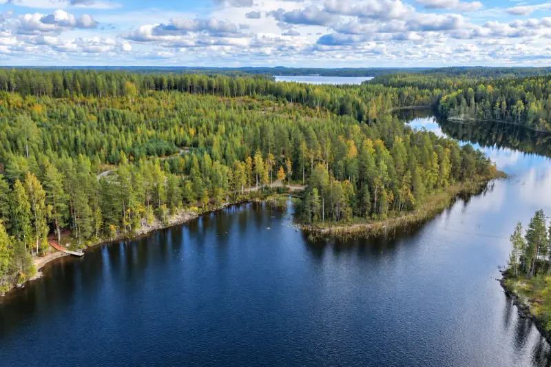 Terrain constructible ~1,9 ha, ~200 m rive ouest Puula, 350 k-m² — Suurenniemi / Hirvensalmi — 5