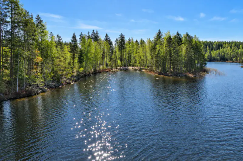 Terrain constructible ~1,9 ha, ~200 m rive ouest Puula, 350 k-m² — Suurenniemi / Hirvensalmi — 4