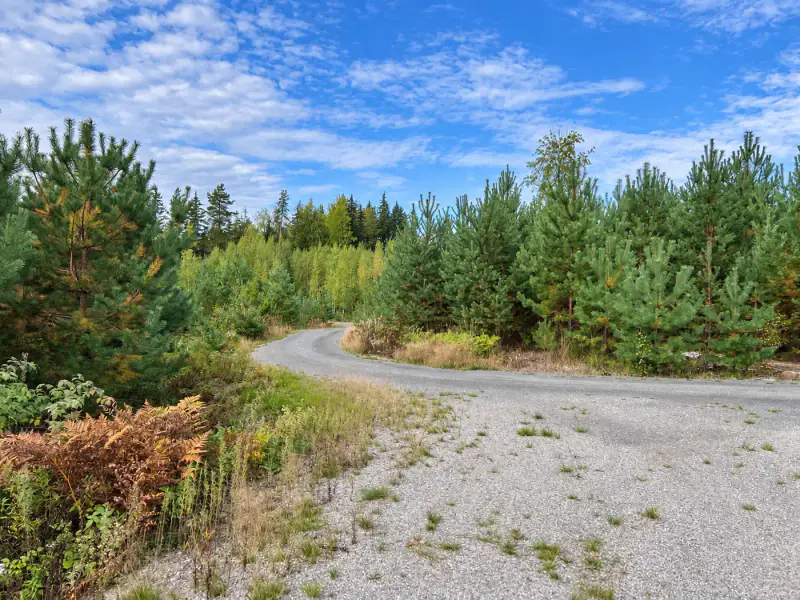 Terrain constructible ~1,9 ha, ~200 m rive ouest Puula, 350 k-m² — Suurenniemi / Hirvensalmi — 13