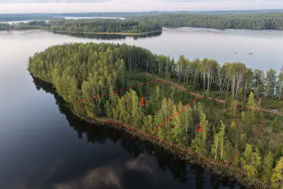 Terrain n°1 ~5 000 m², droit RA 250 k-m², rive ouest Puula / Ryökäsvesi — Lammasniemi / Hirvensalmi — 1
