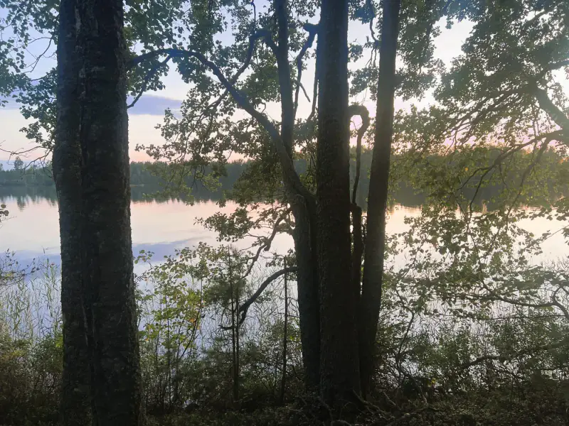 Terrain n°1 ~5 000 m², droit RA 250 k-m², rive ouest Puula / Ryökäsvesi — Lammasniemi / Hirvensalmi — 11
